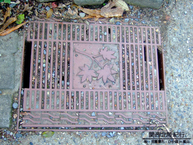 DSCF3459.jpg DSCF3459.jpg