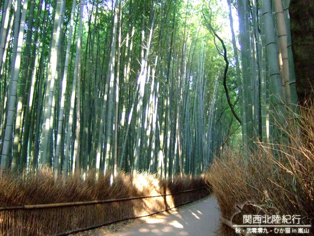 DSCF3463.jpg DSCF3463.jpg