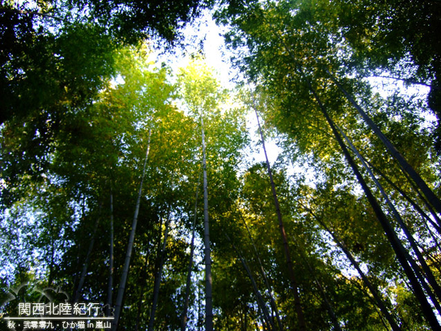 DSCF3466.jpg DSCF3466.jpg