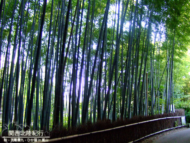 DSCF3472.jpg DSCF3472.jpg