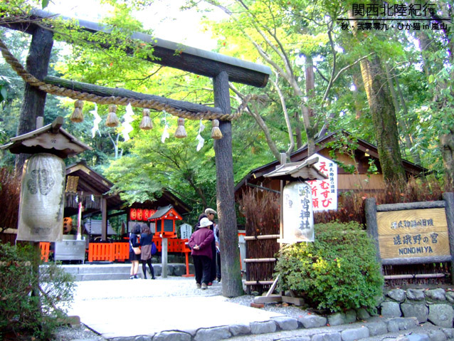 DSCF3475.jpg DSCF3475.jpg