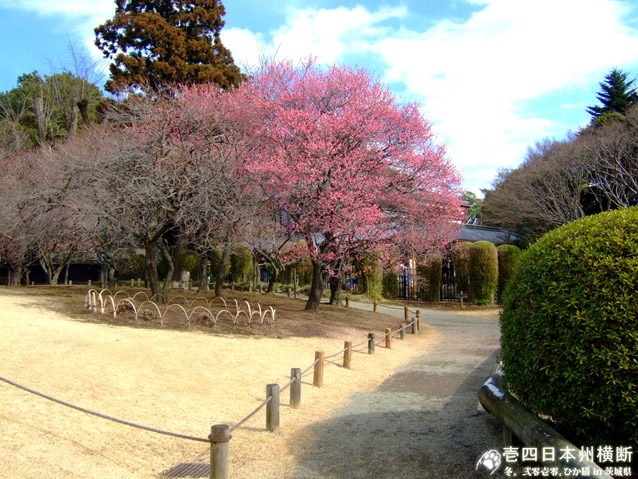 DSCF6179.jpg DSCF6179.jpg
