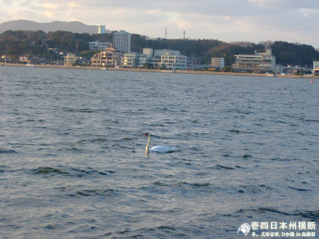 DSCF4250.jpg DSCF4250.jpg