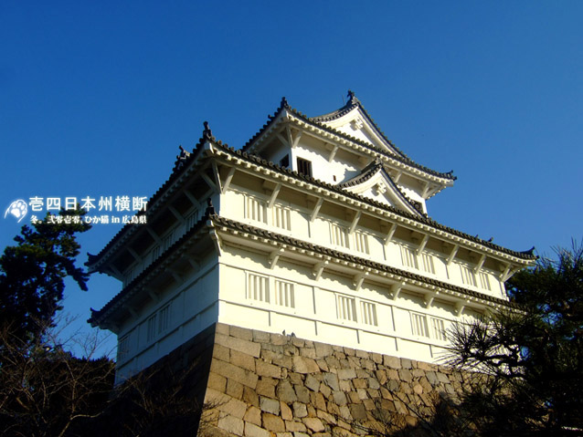 DSCF4311.jpg DSCF4311.jpg