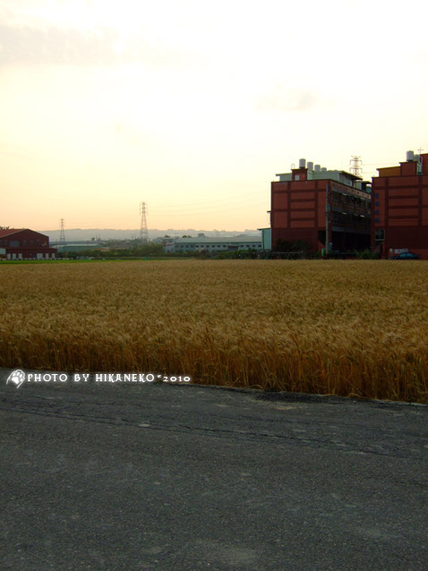 DSCF7326.jpg DSCF7326.jpg