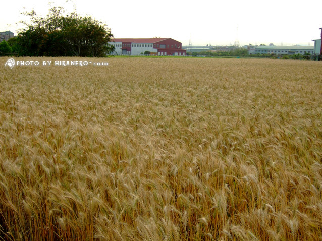 DSCF7328.jpg DSCF7328.jpg