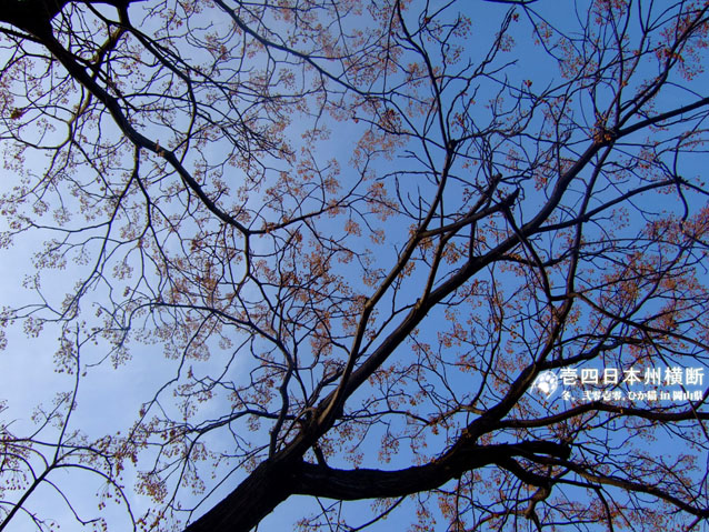 DSCF4539.jpg DSCF4539.jpg