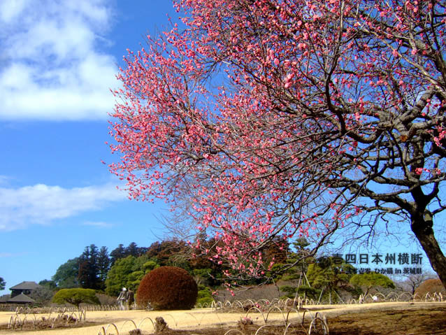 DSCF6171.jpg DSCF6171.jpg