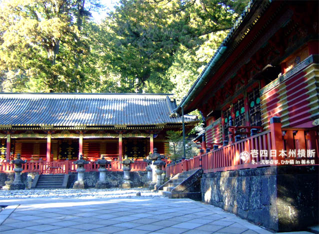 DSCF5196.jpg DSCF5196.jpg