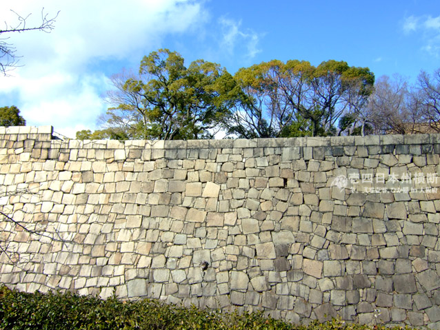 DSCF7091.jpg DSCF7091.jpg