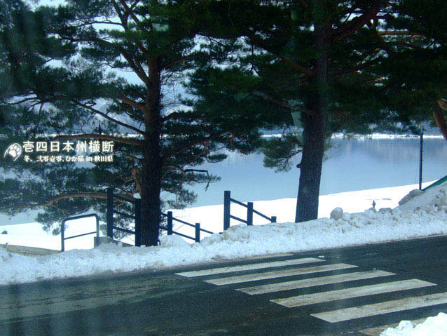 DSCF5383.jpg DSCF5383.jpg