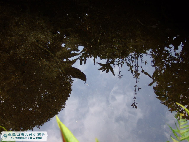 DSCF1899.JPG DSCF1899.JPG