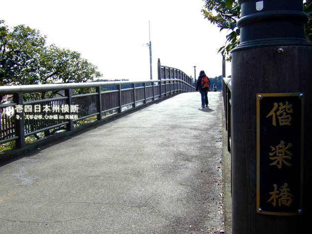 DSCF6187.jpg DSCF6187.jpg
