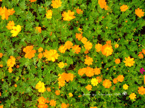DSCF9367.jpg DSCF9367.jpg