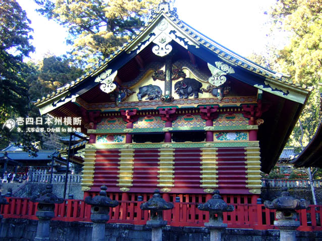 DSCF5203.jpg DSCF5203.jpg