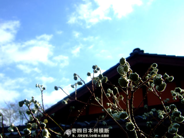 DSCF6550.jpg DSCF6550.jpg
