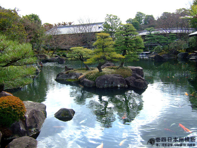 DSCF6399.jpg DSCF6399.jpg