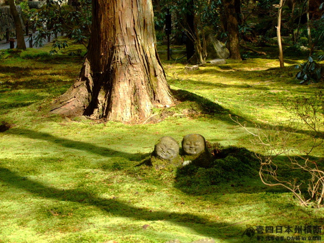 DSCF6632.jpg DSCF6632.jpg
