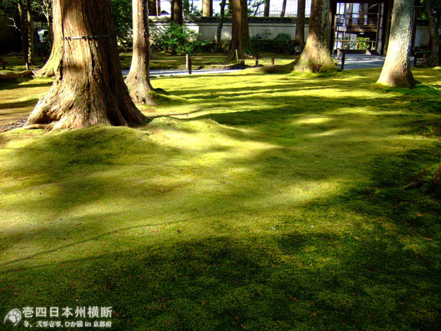 DSCF6624.jpg DSCF6624.jpg