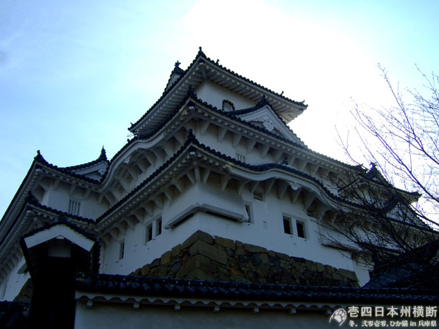 DSCF6314.jpg DSCF6314.jpg