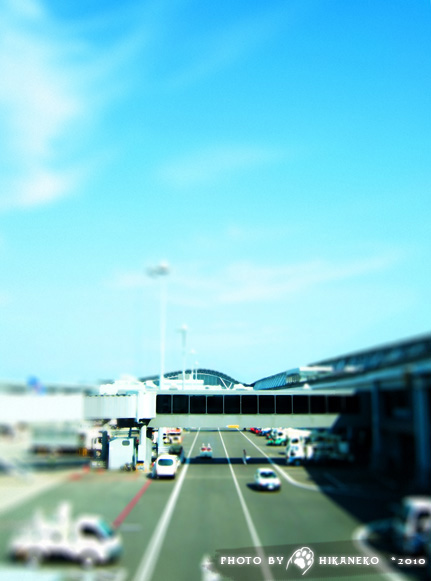 DSCF6963.jpg DSCF6963.jpg