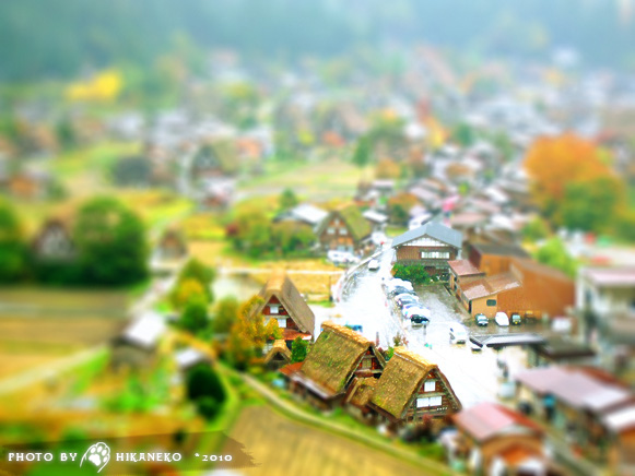 DSCF2809.jpg DSCF2809.jpg