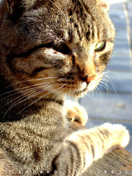 2007_11300273_2.jpg 2007_11300273_2.jpg