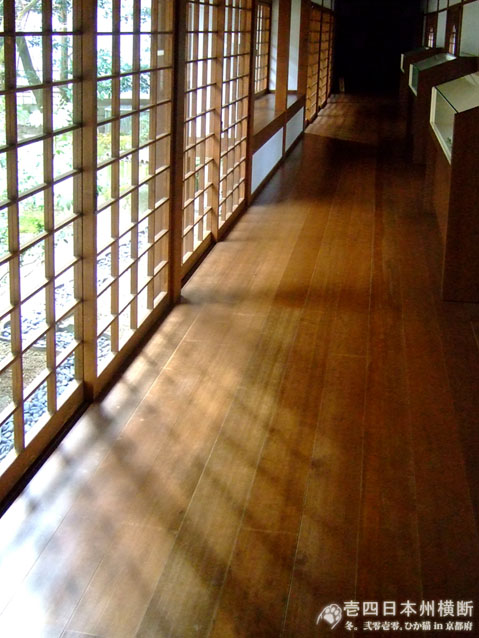 DSCF6589.jpg DSCF6589.jpg