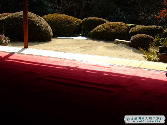 DSCF1865.JPG DSCF1865.JPG