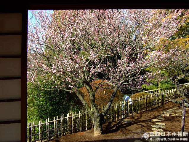 DSCF6112.jpg DSCF6112.jpg