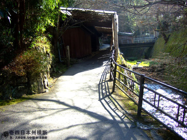 DSCF6562.jpg DSCF6562.jpg