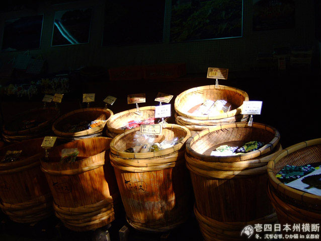 DSCF6560.jpg DSCF6560.jpg