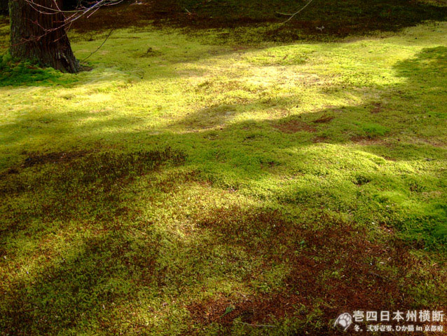 DSCF6614.jpg DSCF6614.jpg