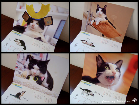 hachan8.jpg hachan8.jpg