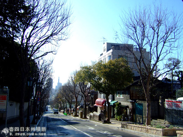DSCF6869.jpg DSCF6869.jpg