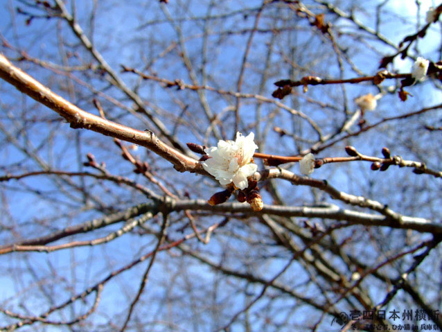 DSCF6320.jpg DSCF6320.jpg
