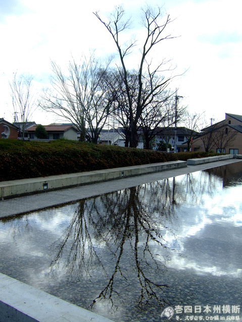 DSCF6452.jpg DSCF6452.jpg