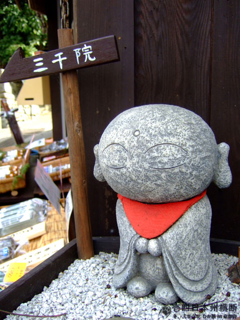 DSCF6675.jpg DSCF6675.jpg