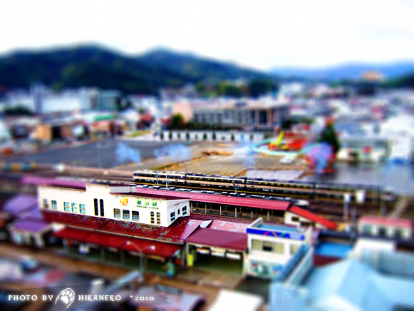 DSCF3037.jpg DSCF3037.jpg