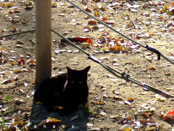 2007_11300281_2.jpg 2007_11300281_2.jpg