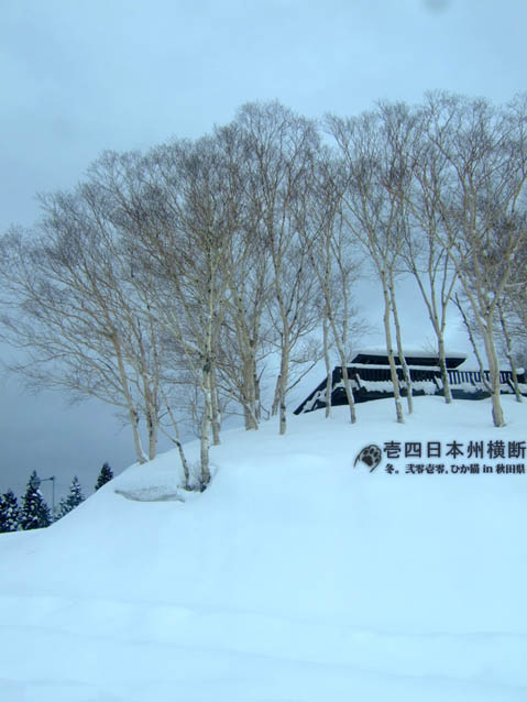 DSCF5406.jpg DSCF5406.jpg