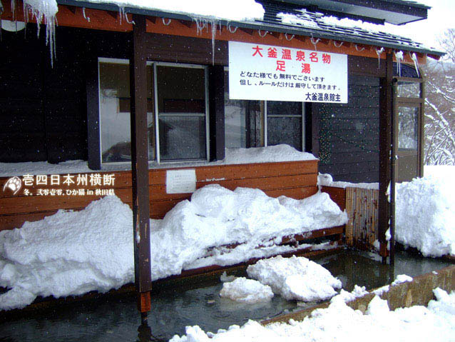 DSCF5447.jpg DSCF5447.jpg