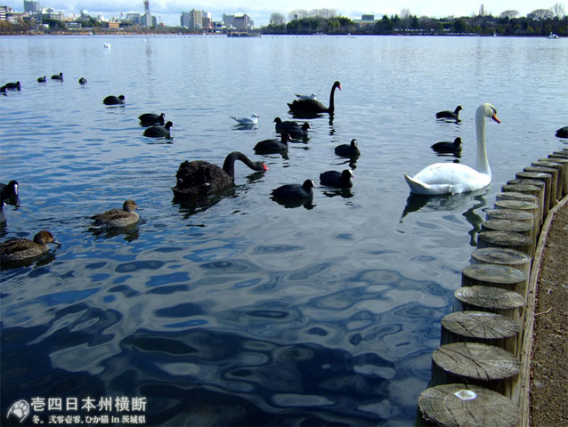 DSCF6202.jpg DSCF6202.jpg