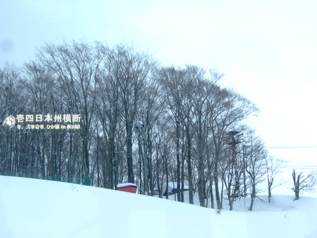 DSCF5414.jpg DSCF5414.jpg