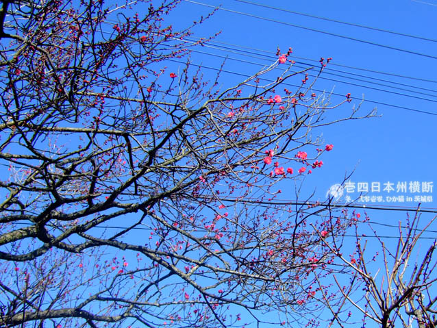 DSCF6055.jpg DSCF6055.jpg