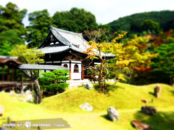 DSCF5557_高台寺.jpg DSCF5557_高台寺.jpg