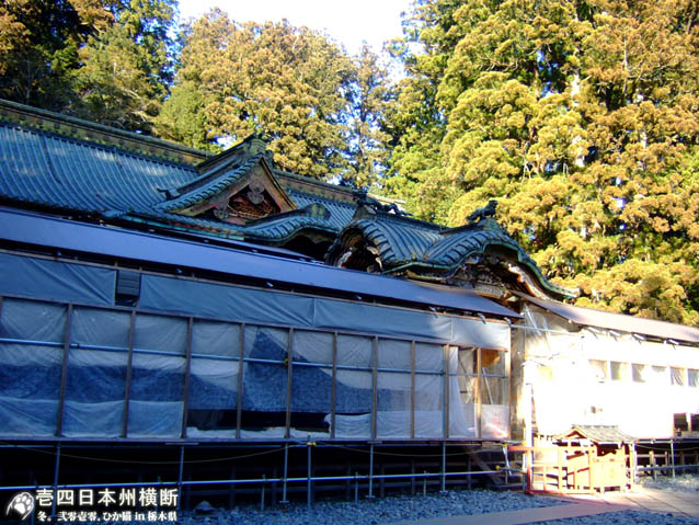 DSCF5239.jpg DSCF5239.jpg