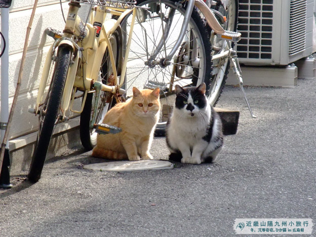 DSCF0115.JPG DSCF0115.JPG