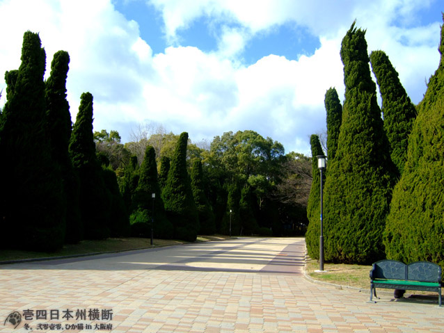 DSCF7072.jpg DSCF7072.jpg
