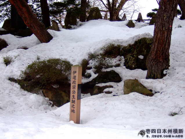 DSCF5767.jpg DSCF5767.jpg